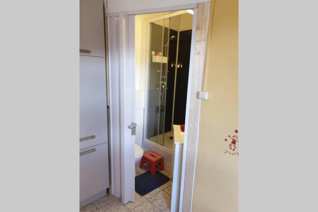 Le Bord De Meuse Appartement Dinant Buitenkant foto