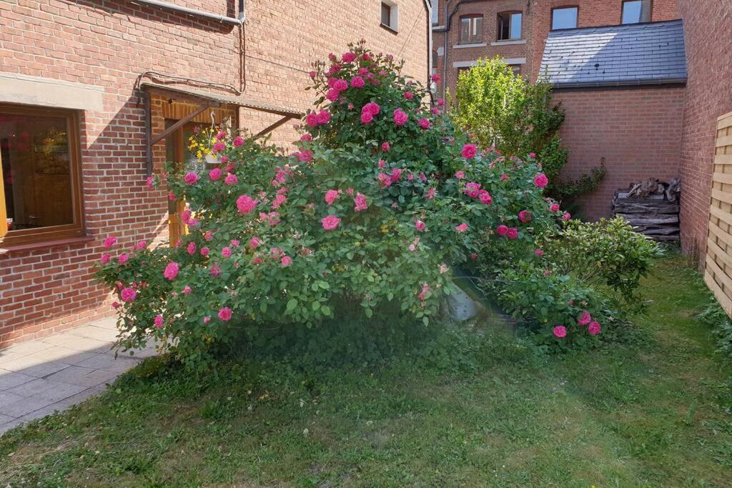 Le Bord De Meuse Appartement Dinant Buitenkant foto